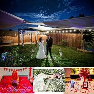 ocharzy 1000pcs Rose Petals Artificial Silk Flower Rose Petals for Wedding Decorations, Romantic Night, Valentine's Day, Parties, Events