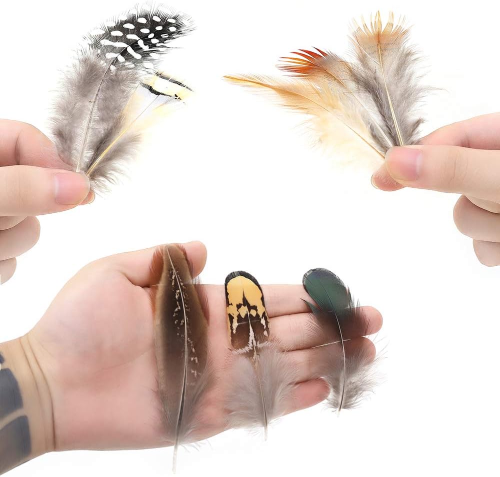180pcs 9 Styled Natural Feathers Assorted Mixed Feathers for Jewelry and Dream Catcher Crafts