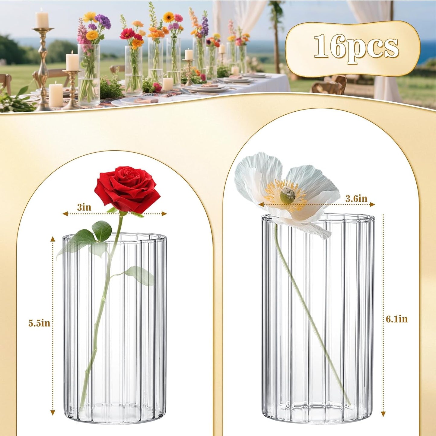 16 Pack Ribbed Glass Cylinder Vases 5.5, 6 Inch Tall Clear Flower Vase Hurricane Floating Candle Holder for Table Centerpiece Wedding Home Decor
