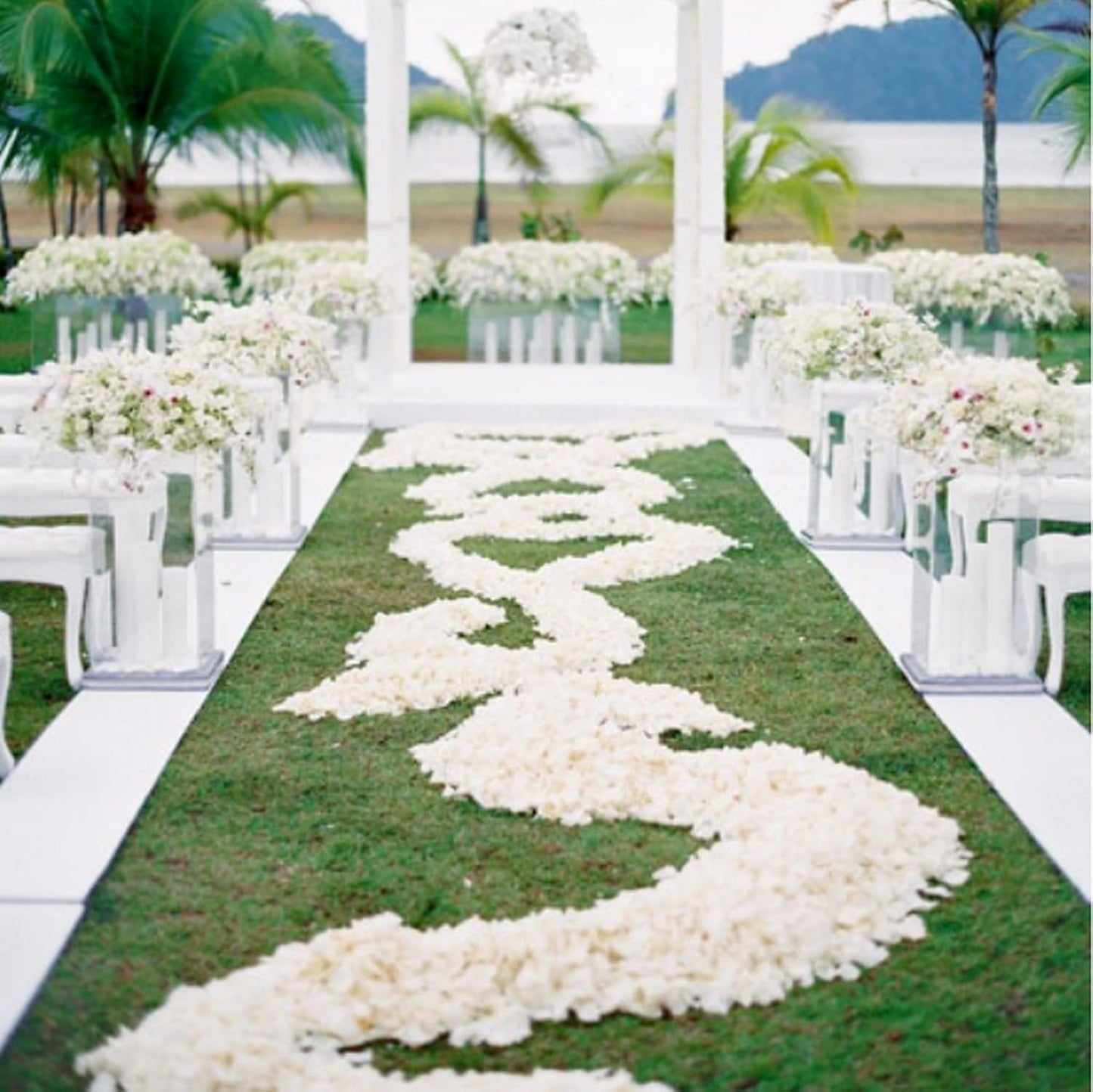 CODE FLORIST 1100 PCS Silk Rose Petals for Valentine's Day,Fake Rose Petals for Romantic Night,Wedding,Proposal Anniversary Flower Decorations(Separated,Scented,Ivory)