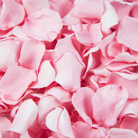 180 PCS Real Pink Dried Rose Petals Confetti for Wedding, 1.75oz Freeze Rose Petals for Romantic Pink Wedding Valentine's Day Proposal Decor, Dinner Centerpieces Party