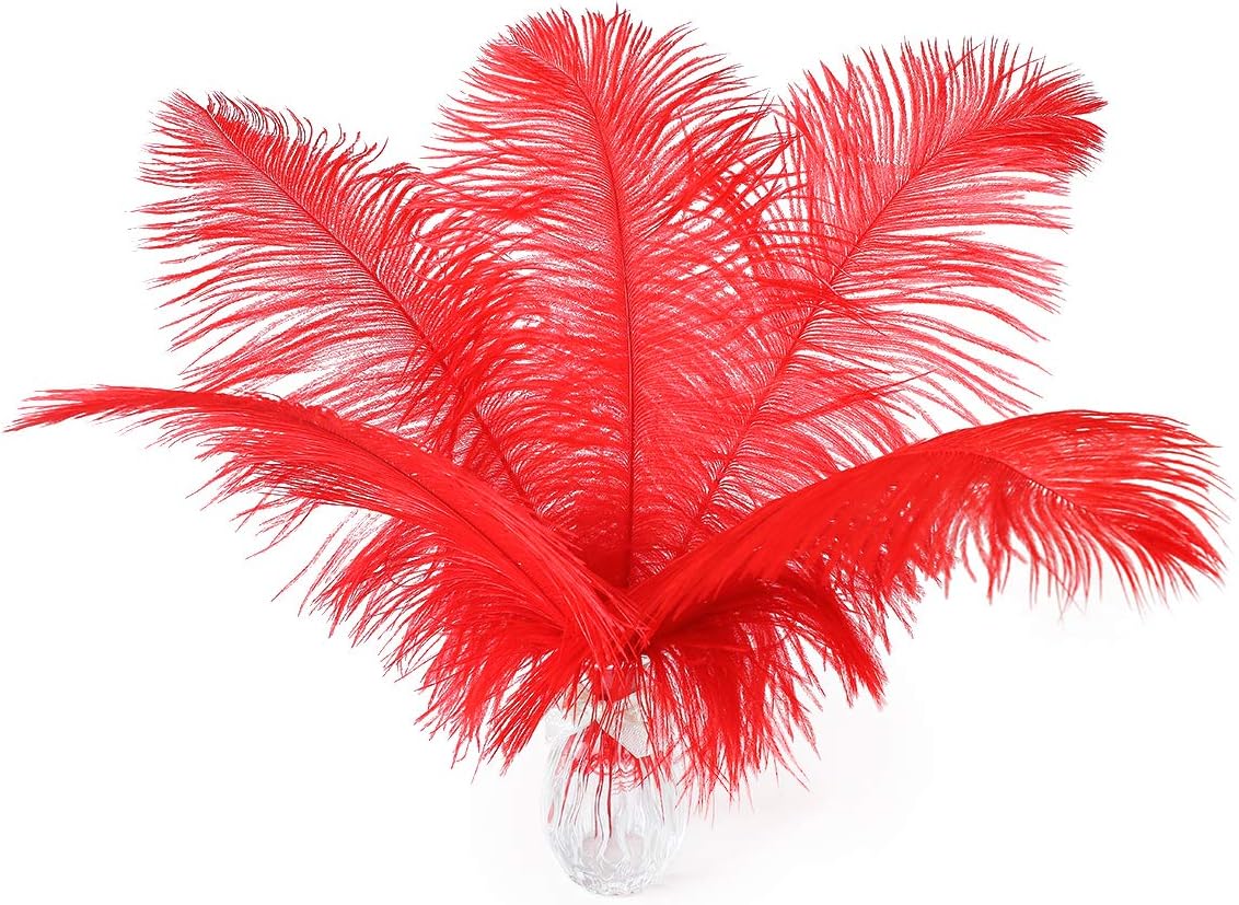 12pcs Natural Bright Red Ostrich Feathers 12-14inch (30-35cm) for Wedding Party Centerpieces，Flower Arrangement and Home Decoration.
