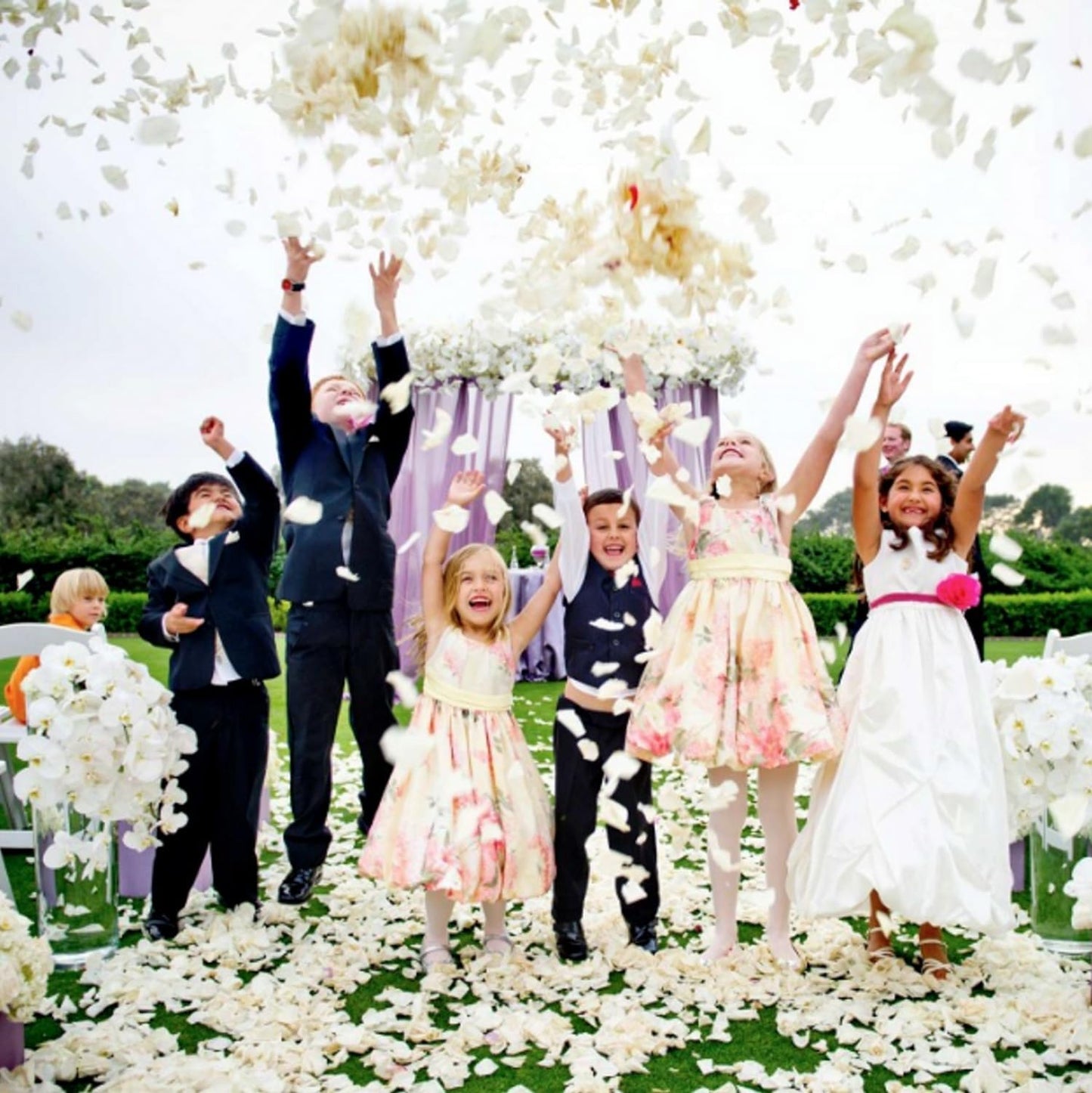 CODE FLORIST 1500 PCS Silk Rose Petals for Valentine's Day,Fake Rose Petals for Romantic Night,Wedding,Proposal Anniversary Flower Decorations(Separated,Scented,Ivory)