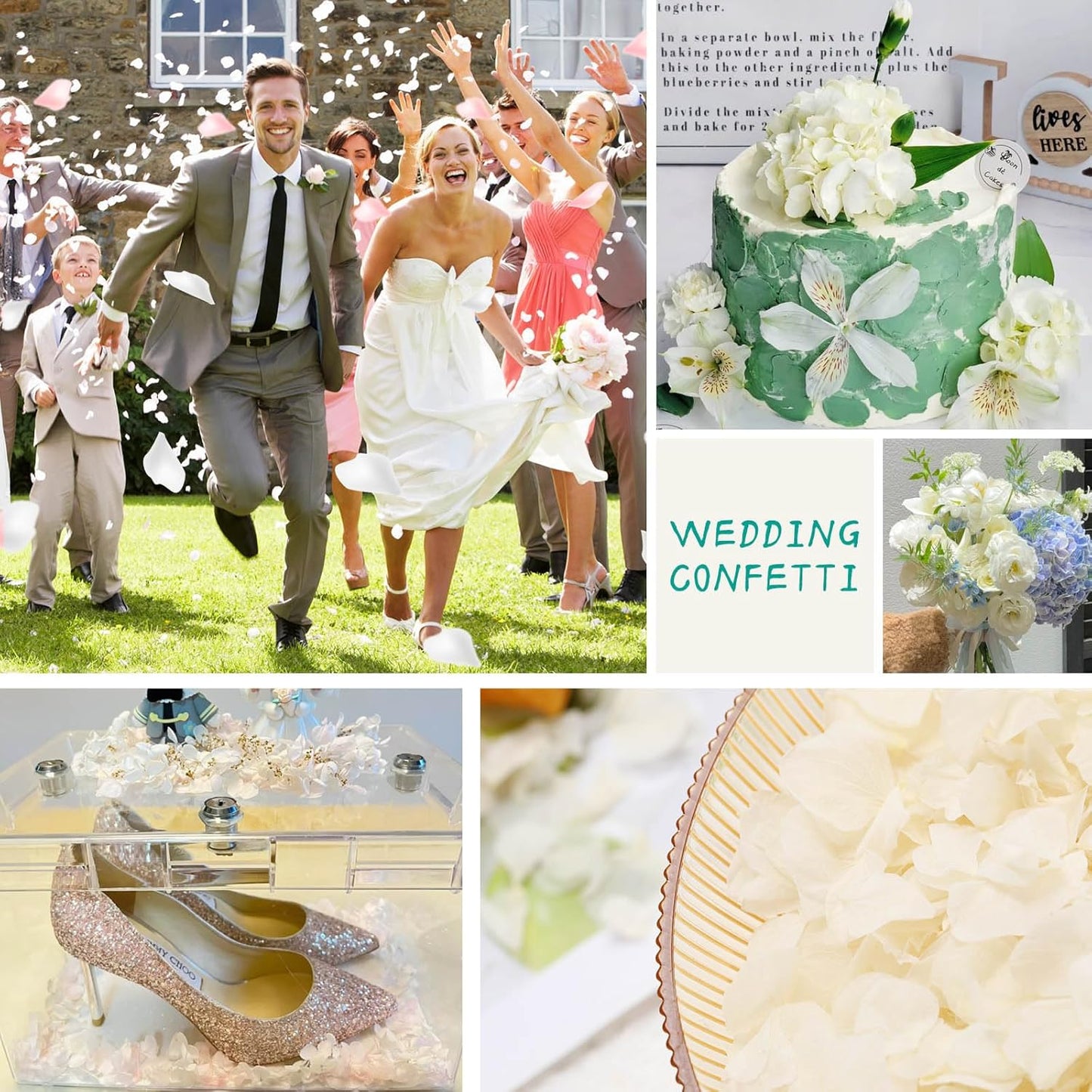 Dried Real Hydrangea Petals, Natural Preserved Dry Flower Petal for Wedding Party Dinner Table Decor, Romantic Night for Her, Engagement, Bridal Shower, Valentines Day, Confetti (1.1oz, Ivory White)